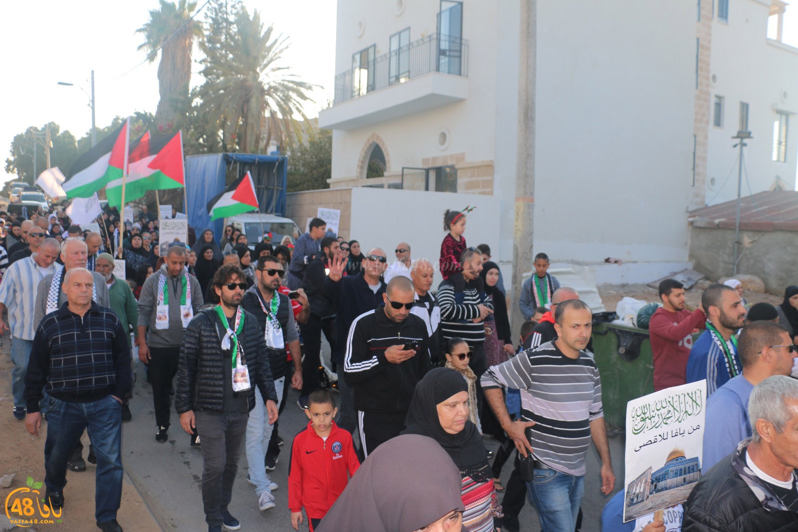 yaffa modahara jeq (8).jpg